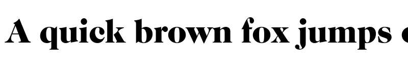 Preview of FONTSPRING DEMO - Caslon FS Black Regular font