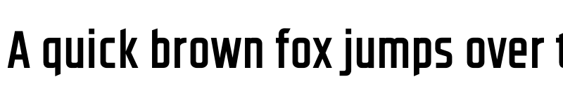 Preview of FONTSPRING DEMO - CCSpaceRace Bold font