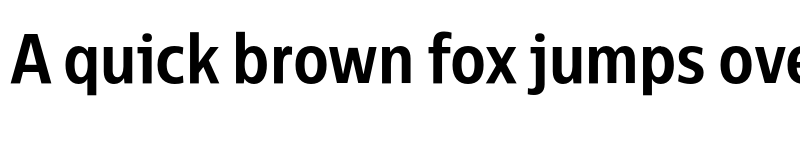 Preview of FONTSPRING DEMO - CentraleSansCnd Book Bold font