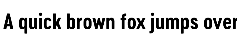 Preview of FONTSPRING DEMO - Cervo Neue Bold Neue Regular font