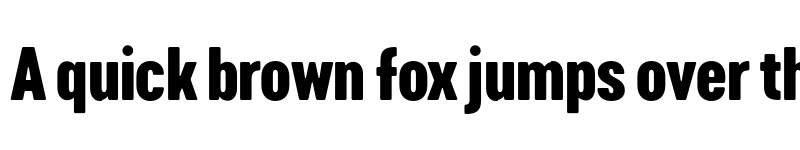 Preview of FONTSPRING DEMO - Cervo Neue Con Bold Regular font