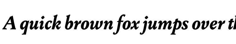 Preview of FONTSPRING DEMO - Change Bold Italic font