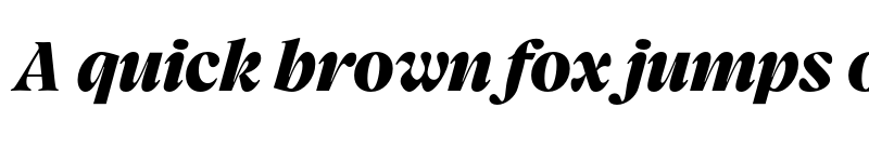 Preview of FONTSPRING DEMO - Charlea Black Italic font