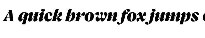 Preview of FONTSPRING DEMO - Charlea Extblk Italic font