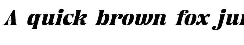 Preview of FONTSPRING DEMO - Chiefland Bold Italic font