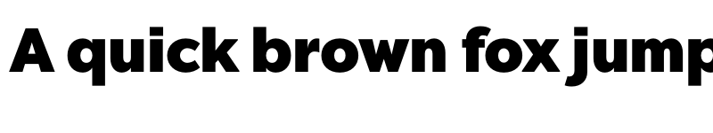 Preview of FONTSPRING DEMO - Chronica Pro Heavy Regular font