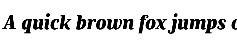 Preview of FONTSPRING DEMO - Chucara next Black Italic font