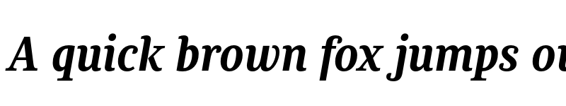 Preview of FONTSPRING DEMO - Chucara next Book Bold Italic font