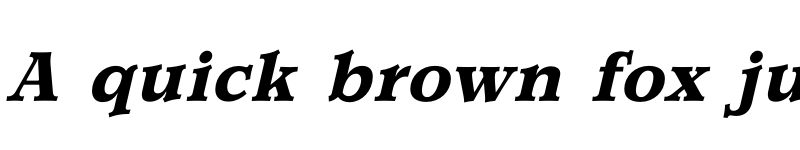 Preview of FONTSPRING DEMO - Churchward Newstype Bold It Regular font