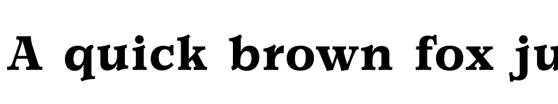 Preview of FONTSPRING DEMO - Churchward Newstype Bold Regular font