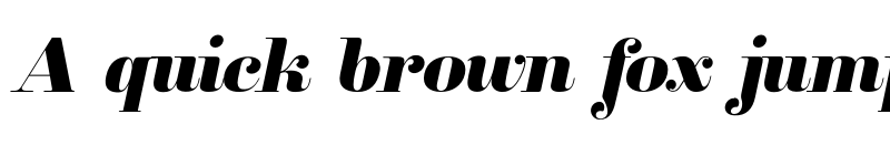 Preview of FONTSPRING DEMO - Clarize Black Italic font
