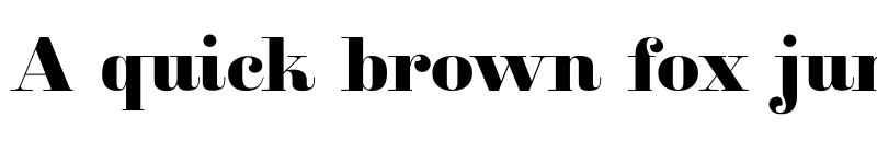 Preview of FONTSPRING DEMO - Clarize Black Regular font