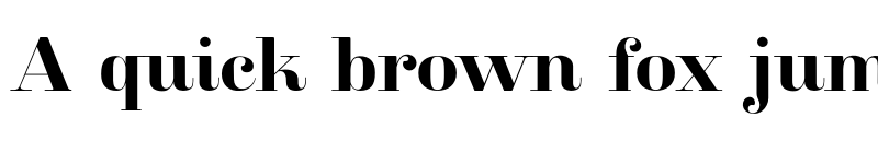 Preview of FONTSPRING DEMO - Clarize Bold font