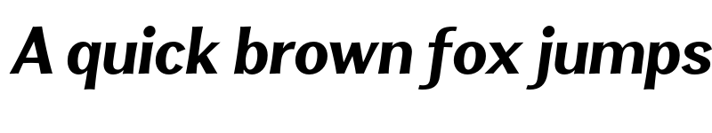 Preview of FONTSPRING DEMO - Clasica Sans Black Italic font