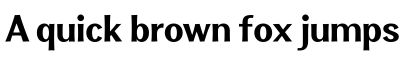 Preview of FONTSPRING DEMO - Clasica Sans Black Regular font