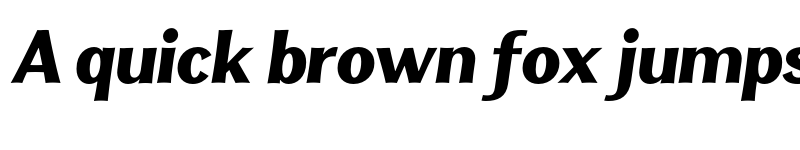 Preview of FONTSPRING DEMO - Clasica Sans UltraBlack Italic font