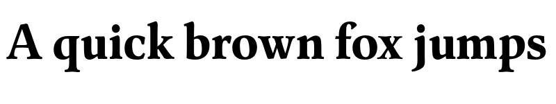 Preview of FONTSPRING DEMO - Classica Pro Bold font