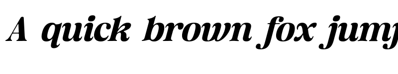 Preview of FONTSPRING DEMO - Classical Diary Italic font