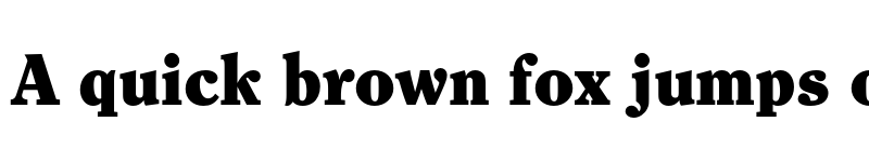 Preview of FONTSPRING DEMO - Clearface Pro Black Regular font