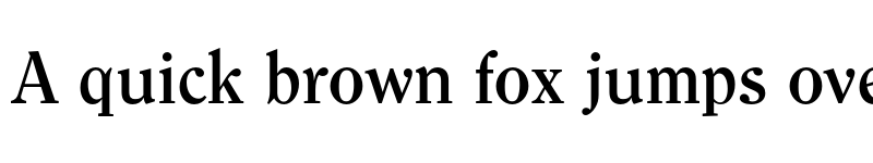 Preview of FONTSPRING DEMO - Clearface Pro Bold font