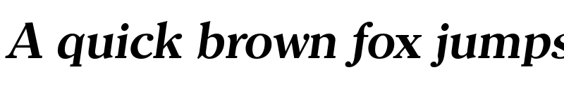 Preview of FONTSPRING DEMO - Clearface Serial Bold Italic font
