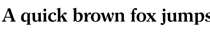 Preview of FONTSPRING DEMO - Clearface Serial Bold font