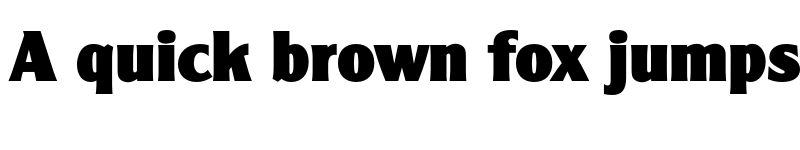 Preview of FONTSPRING DEMO - ClearGothic Serial Heavy Regular font