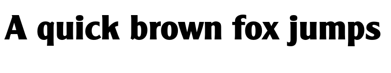 Preview of FONTSPRING DEMO - ClearGothic Serial Xbold Regular font