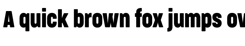 Preview of FONTSPRING DEMO - CocogooseProCm Bold font