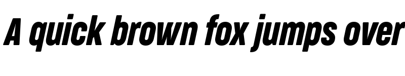 Preview of FONTSPRING DEMO - CocogooseProCm Italic font