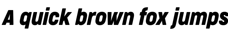 Preview of FONTSPRING DEMO - CocogooseProCondensed Bold Italic font