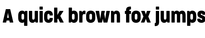 Preview of FONTSPRING DEMO - CocogooseProCondensed Bold font