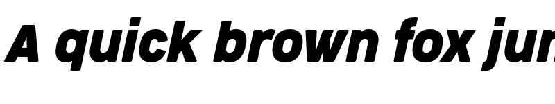 Preview of FONTSPRING DEMO - CocogooseProNarrow Bold Italic font