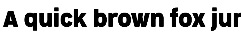 Preview of FONTSPRING DEMO - CocogooseProNarrow Bold font