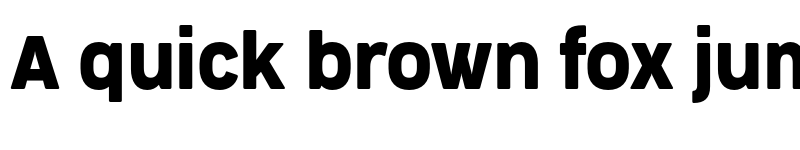 Preview of FONTSPRING DEMO - CocogooseProNarrow Regular font