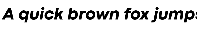 Preview of FONTSPRING DEMO - Codec Pro ExtraBold Italic font