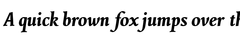 Preview of FONTSPRING DEMO - Combi Italic Book Bold font