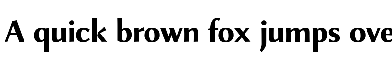 Preview of FONTSPRING DEMO - Combi Sans Book Bold font