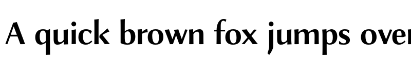 Preview of FONTSPRING DEMO - Combi Sans Light Bold font