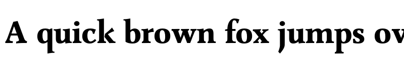 Preview of FONTSPRING DEMO - Combi Serif Book Bold font