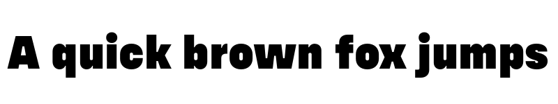 Preview of FONTSPRING DEMO - Config Alt Black Regular font