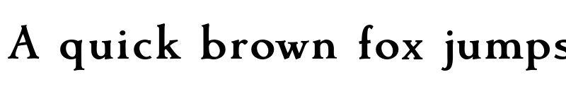 Preview of FONTSPRING DEMO - Contenu Book Bold font