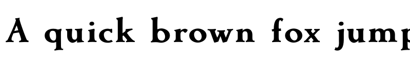 Preview of FONTSPRING DEMO - Contenu eBook Bold font