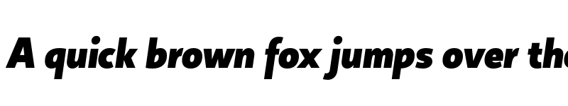 Preview of FONTSPRING DEMO - Copihue Black Italic font