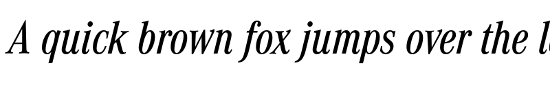Preview of FONTSPRING DEMO - CorporateAConMed Italic font