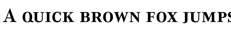 Preview of FONTSPRING DEMO - CorporateASCT Bold font