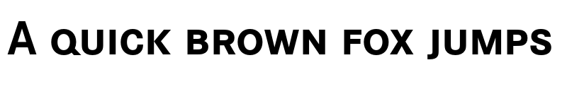 Preview of FONTSPRING DEMO - CorporateSSCT Bold font