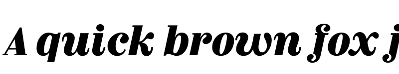 Preview of FONTSPRING DEMO - Couturier Black It Regular font