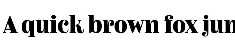 Preview of FONTSPRING DEMO - Couturier Black Regular font