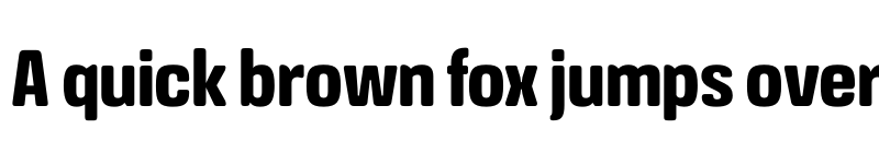 Preview of FONTSPRING DEMO - Crossfit Bold Regular font